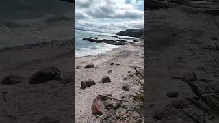 Hobbs beach  Tiritiri matangi [upl. by Leverick]