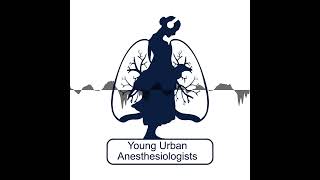 Katecholamine  Grundlagen  Young Urban Anesthesiologists [upl. by Skantze]