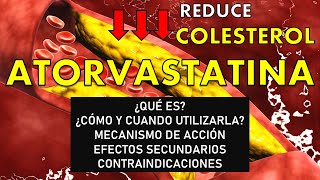 🔴 ATORVASTATINA  PARA QUÉ SIRVE MECANISMO DE ACCIÓN EFECTOS SECUNDARIOS Y CONTRAINDICACIONES [upl. by Arral]