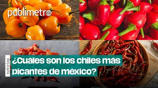 ¿Cuáles son los chiles más picantes de México [upl. by Lladnik]