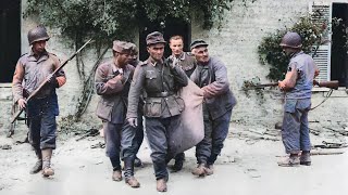 The Execution Of The German Soldiers Of DDay  6th June 1944 [upl. by Cown793]