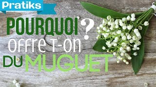 Pourquoi offreton du muguet le 1er Mai [upl. by Eelyab]