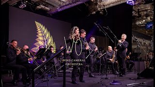 Koncert Noworoczny 2024  Wind Cameral Orchestra [upl. by Hook856]