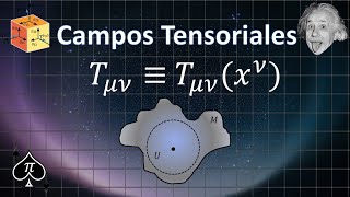 Tensores  31 Campos Tensoriales [upl. by Malha]