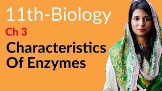 11th Class Biology Ch 3 Enzymes  Characteristics of Enzymes  FSc Biology Part 1 [upl. by Pauly553]