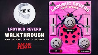 Unleash the LoFi wildness Safari Pedals  LadyBug LoFi Effect Reverb  Walkthrough  How To Use [upl. by Dal]