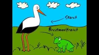 German Cartoons Storch trifft Breitmaulfrosch Trailer  Learn German easily [upl. by Notnroht975]