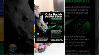 Cula badak disuntik radioaktif [upl. by Crudden]