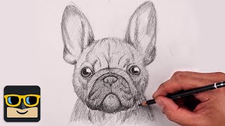 How To Draw a Dog  French Bulldog Sketch Tutorial [upl. by Barnabas]