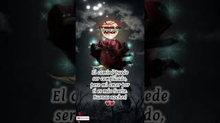 MI AMOR ♥️♥️ buenasnoches feliznoche dulcessueños tequiero teamo romantico tu frases tuyyo [upl. by Elrod]