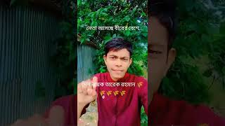 নেতা আসবে ফিরে দেশেbnb bnp unfrezzmyaccount Bangladesh BNP 🌾 team video for you viral [upl. by Siryt]