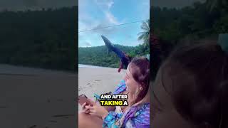 Massive Bird Shocks Girls at the Beach 🦅🏖️ animalshorts animals birds bird beach dog [upl. by Figueroa]