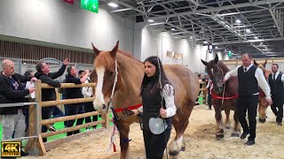 Salon de lagriculture 2024 HALL 6 2 72 5  Paris International Agricultural Show [upl. by Nitnelav]