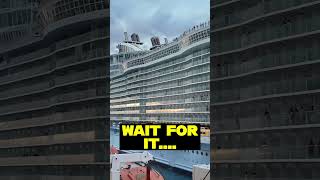 Most PREMIUM cruise package ever cruise msc royalcaribbean [upl. by Otis]