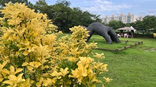 The Yongsan Family Park in Seoul [upl. by Wylde354]