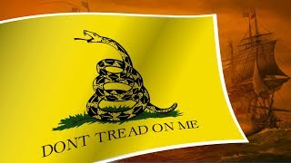 Gadsden Flag The Original Rebel Flag [upl. by Enyar]