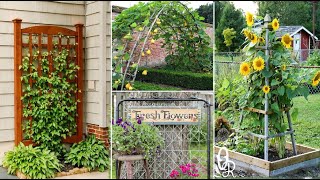 87 DIY GARDEN TRELLIS IDEAS  MY GARDEN TV [upl. by Aderb]