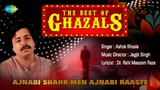 Ajnabi Shahr Men Ajnabi Raaste  Ghazal Song  Ashok Khosla [upl. by Atiker]