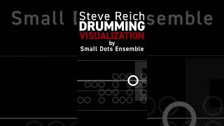 Steve Reich quotDrummingquot Visualization Shorts [upl. by Rozele848]