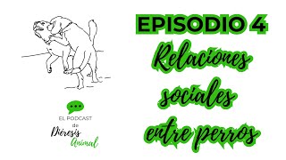 Episodio 4  Relaciones sociales entre perros  Diéresis Animal [upl. by Marcy]