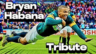 Bryan Habana Tribute  Springboks Wing Rugby Player  Unbelievable Tries rugby sports [upl. by Cost]