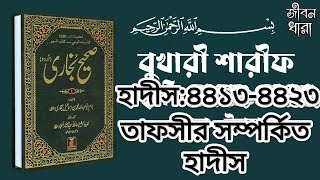 তাফসীর সম্পর্কিত হাদিস Hadis 4413 4423 Bukhari SharifBangla Hadisবাংলা হাদিসবুখারী শারীফ [upl. by Kan282]