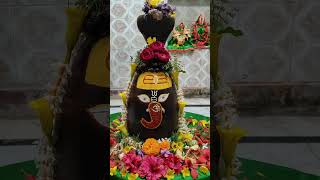 Namami samishan nirwan rupam rudrashtkam mahadev krishna youtube trending song [upl. by Fai]