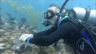 TWIN ROCKS DIVE SITE SCUBA DIVING IN ANILAO [upl. by Eyr]