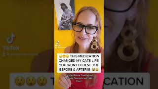 How to Help Your Cat Feel Young Again  Cat Medication for Arthritis  Solensia [upl. by Moersch969]