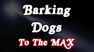 ▶️ Barking Dogs To The Max Barking Dogs Sounds Dogs Barking Noises 12 Hours 🌏 [upl. by Lewie851]