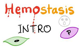 Hemostasis  How your blood clots  Overview [upl. by Wadell]