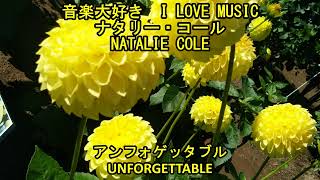 音楽大好き ナタリー・コール  アンフォゲッタブル I LOVE MUSIC NATALIE COLE  UNFORGETTABLE [upl. by Rimola]