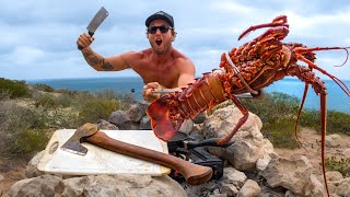 Bare Handed Catching LOBSTER in Rock Pools  Catch and Cook [upl. by Seerdi235]