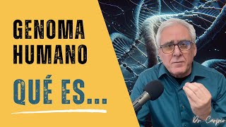 ¿Qué es la Información Genética Un Viaje al Corazón del Genoma Humano [upl. by Ahsinnor69]