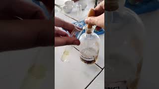 Brown Ring Test  Confirmatory Test of Nitrate Class 12 Chemistry prac httpsyoutubePMUG7DrFjKw [upl. by Hennie]