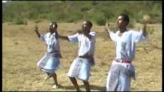 ethiopian wello best raya music [upl. by Brose380]