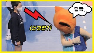 미녀 배구 선수와 마스코트의 불꽃 신경전 ㅋㅋㅋ 배구왕 [upl. by Valaria]