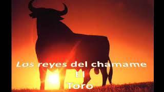 Chamame el toro [upl. by Resa]