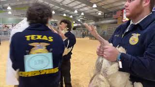 2024 CFISD Livestock ShowPoultry Show [upl. by Kelson752]