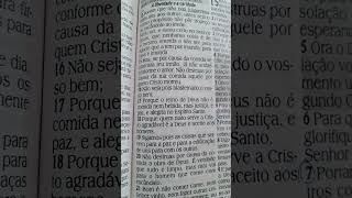 Romanos 1413 evangelho fe amor reinodedeus [upl. by Gemmell]