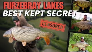 Furzebray Lakes Best Kept Secret  Furzebray Lakes  CARP FISHING in Devon  Day Tickets Go Catch [upl. by Neirb597]