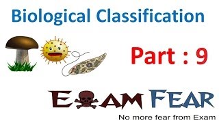 Biology Biological Classification part 9 Protista  Characteristics CBSE Class 11 XI [upl. by Tonkin]