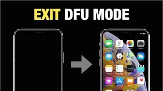 Tutorial to Get Out iPhone X DFU Mode Without Computer in 3 Simple Steps [upl. by Steve95]