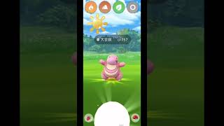 《Pokémon GO》陽光盃 超級聯盟 Sunshine Cup：Great League  Rising Heroes [upl. by Carrie]