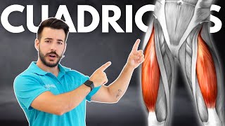 Los MEJORES EJERCICIOS para FORTALECER la RODILLA 🦵🏼 en Personas Mayores [upl. by Terena]