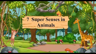 Environmental Trail Book 5  Chapter 7 Super Senses in Animals [upl. by Hahnert]