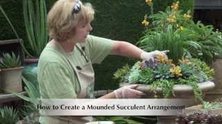 How to Make a Mounded Succulent Arrangement [upl. by Lelith362]