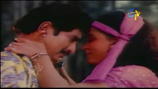 Andamaina Aadapilla Full Video Song  Rowdy No1  Krishna  Radha  Sharadha  ETV Cinema [upl. by Audris]