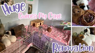 HUGE GUINEA PIG CAGE RENOVATION  Building a New Guinea Pig Cage [upl. by Eenalem]