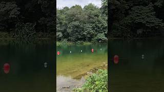 MacRitchie Reservoir  singapore singaporevlog macritchiereservoir macritchie singaporevideos [upl. by Luebke734]